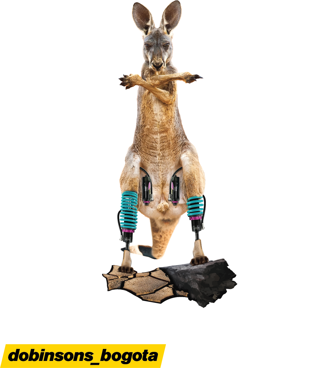 Patrocinador